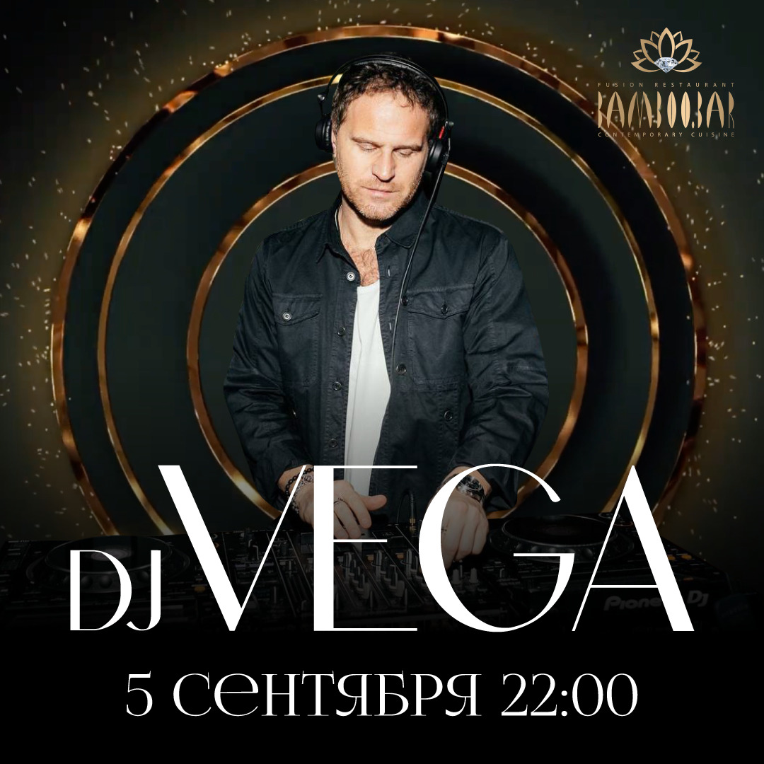 изображение для Dj VEGA